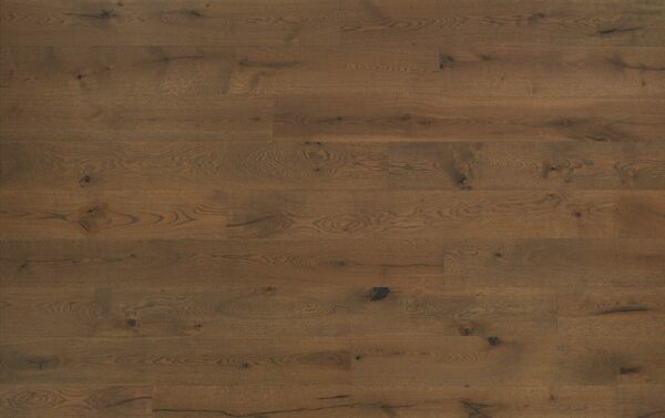 EXTRA 15 | Rovere Perseo - immagine 2