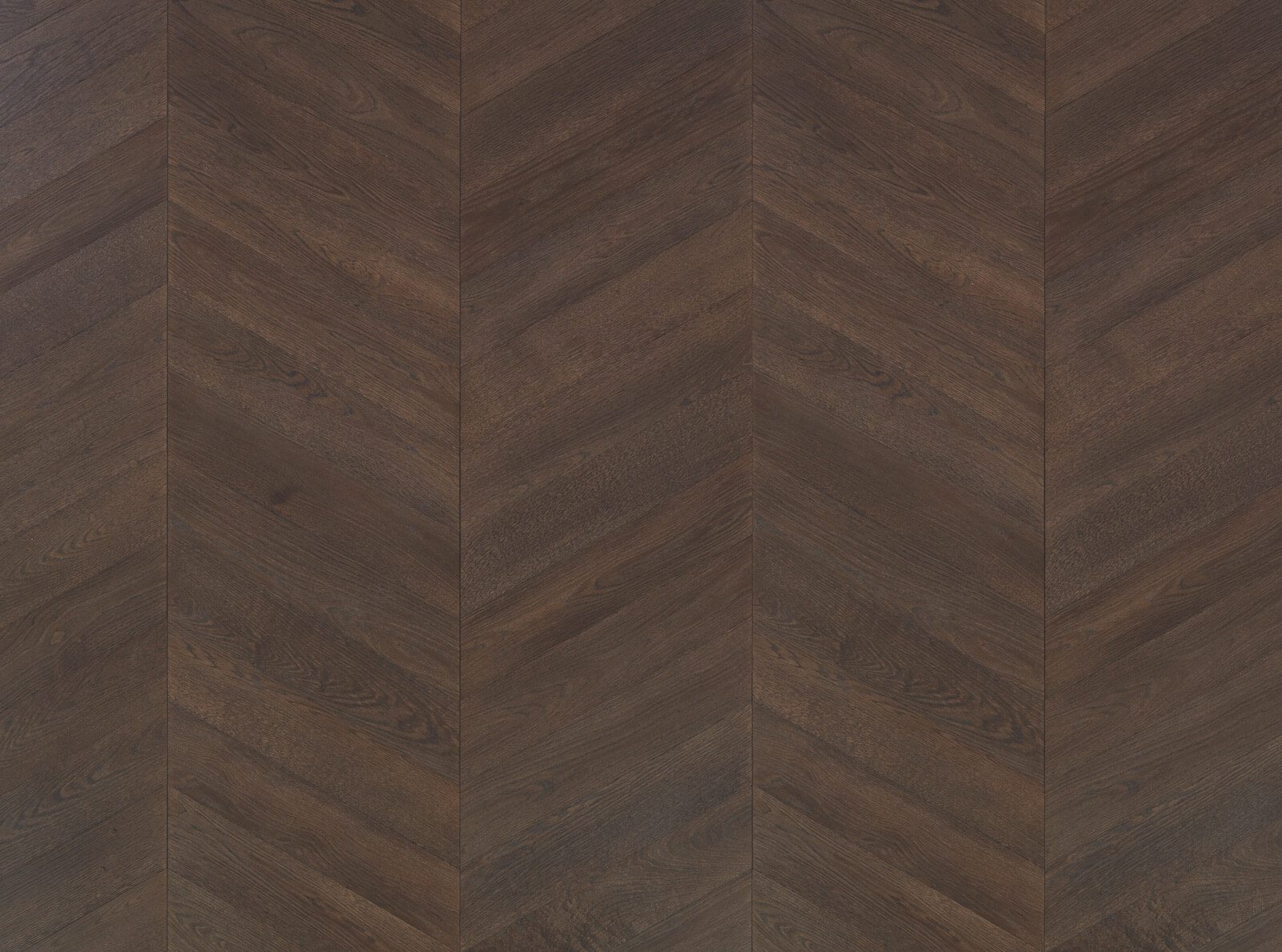 3 LARGHEZZE | Rovere Ecuba