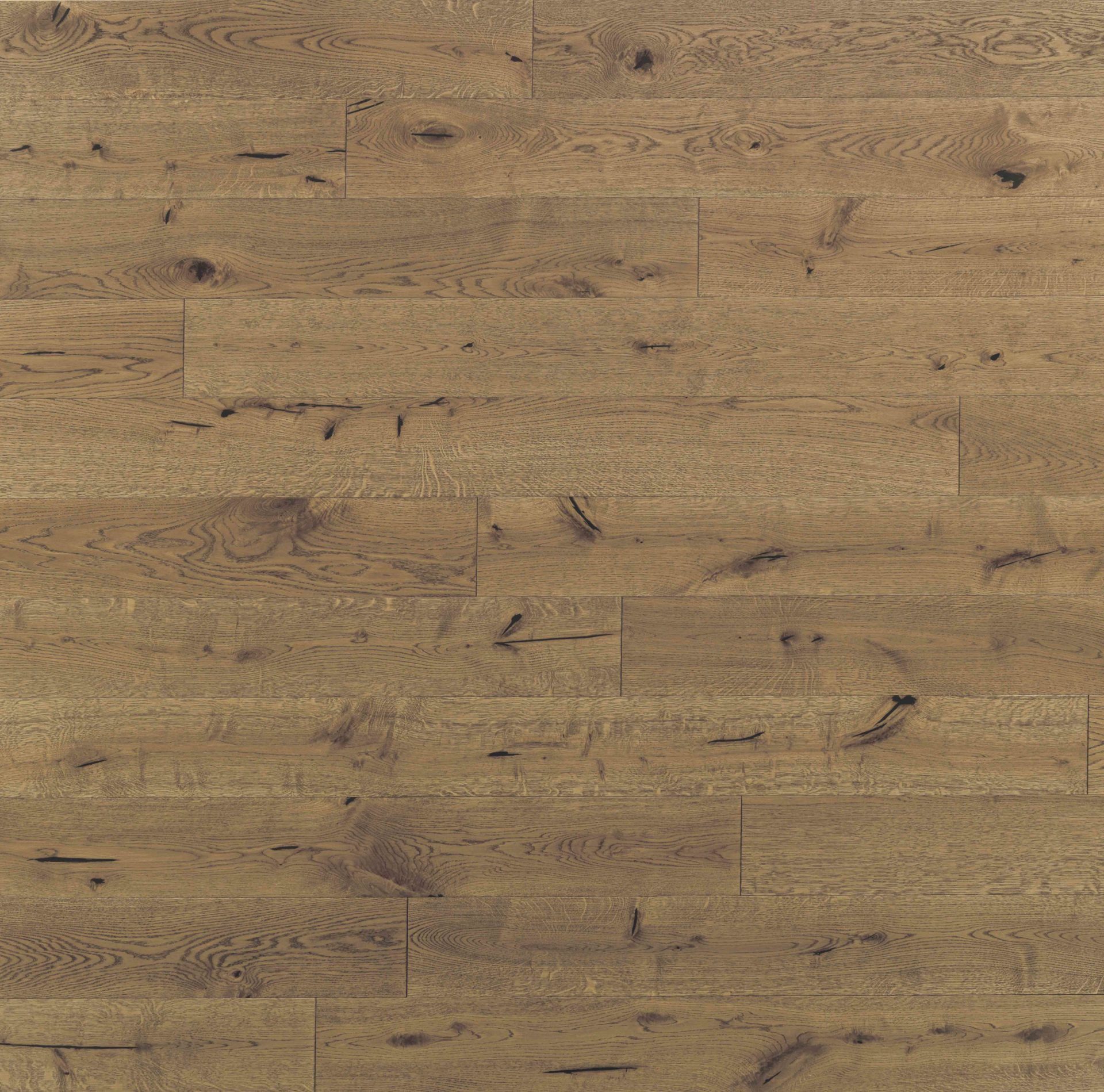 MAXI 10 | Rovere Apis