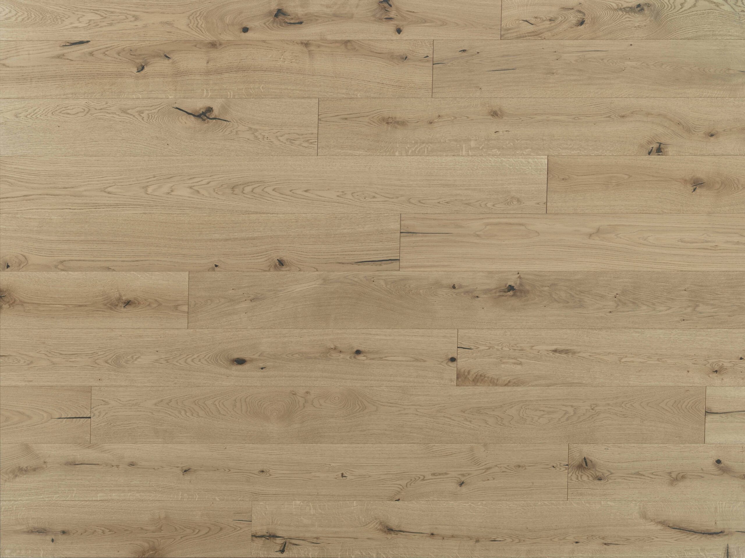 Rovere Apollo