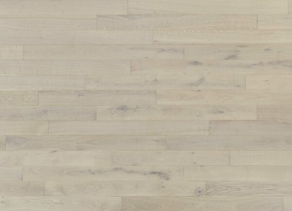 MAXI 10 | Rovere Aurora - immagine 2