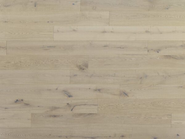 EXTRA  15 | Rovere Cratos - immagine 2