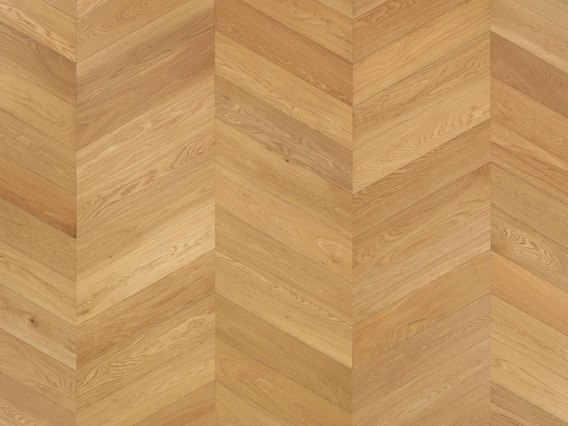 SPINA MAXI 60° | Rovere Yam | Spazzolato | Olio UV