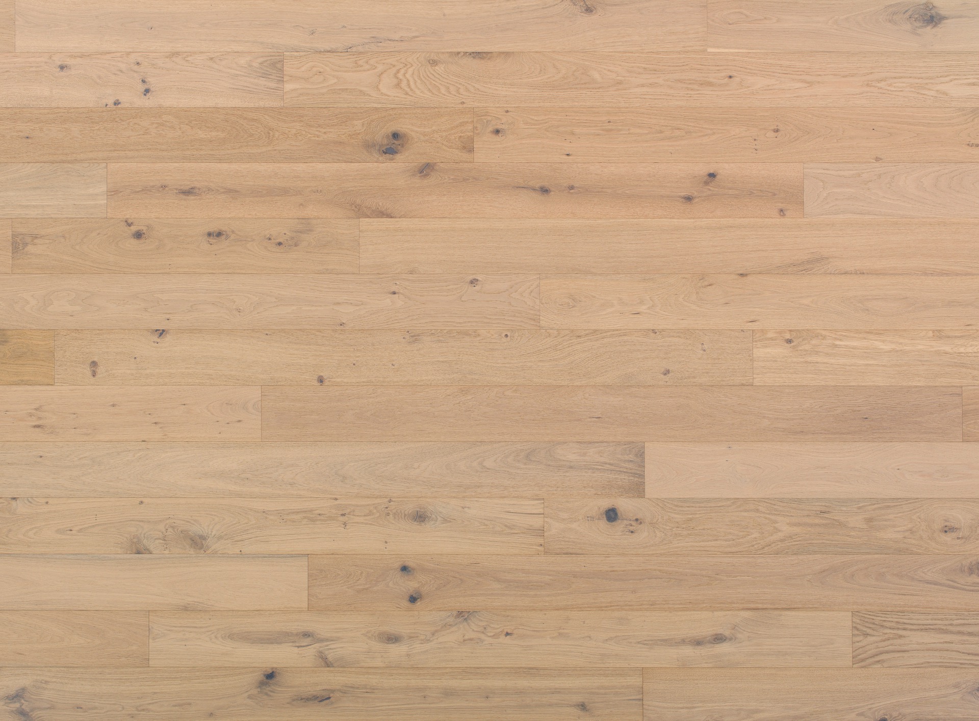 MAXI 10 | Rovere Adone | Spazzolato | Olio UV