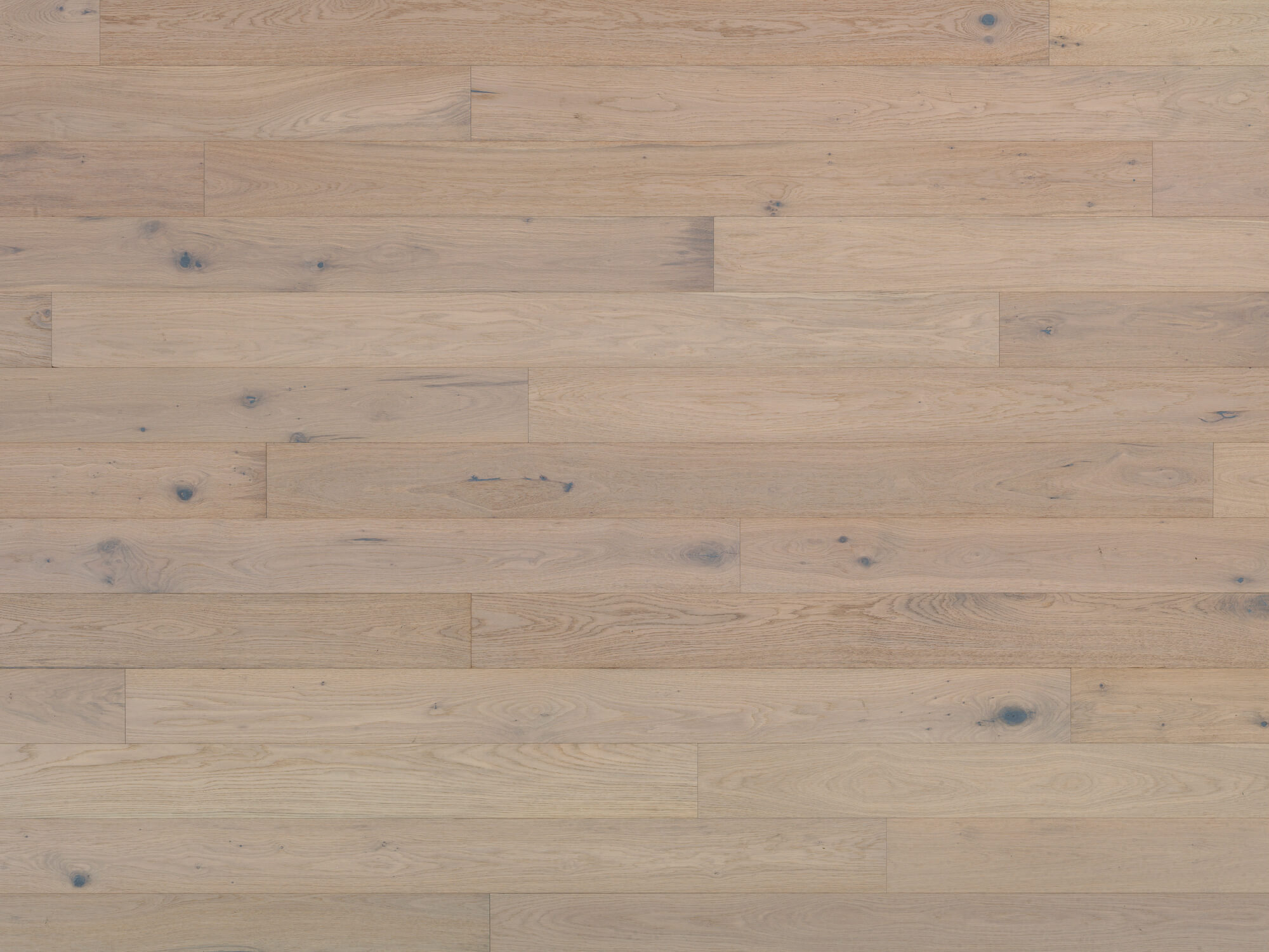 Rovere Mileto | Spazzolato | Olio UV