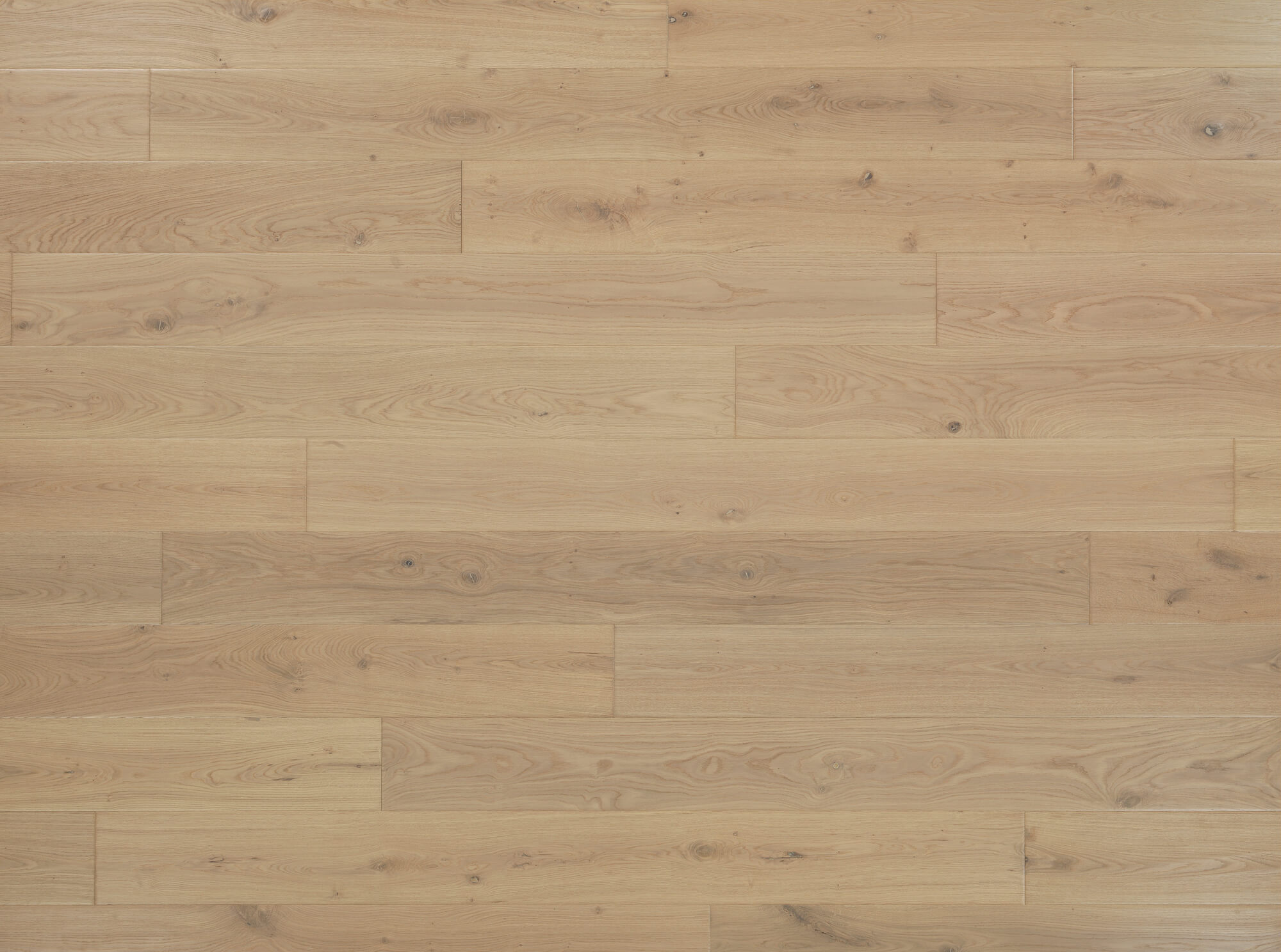MAXI 15 | ROVERE ARTIGIANALE, SCAVATO, BISELLO BOTTATO, DORI