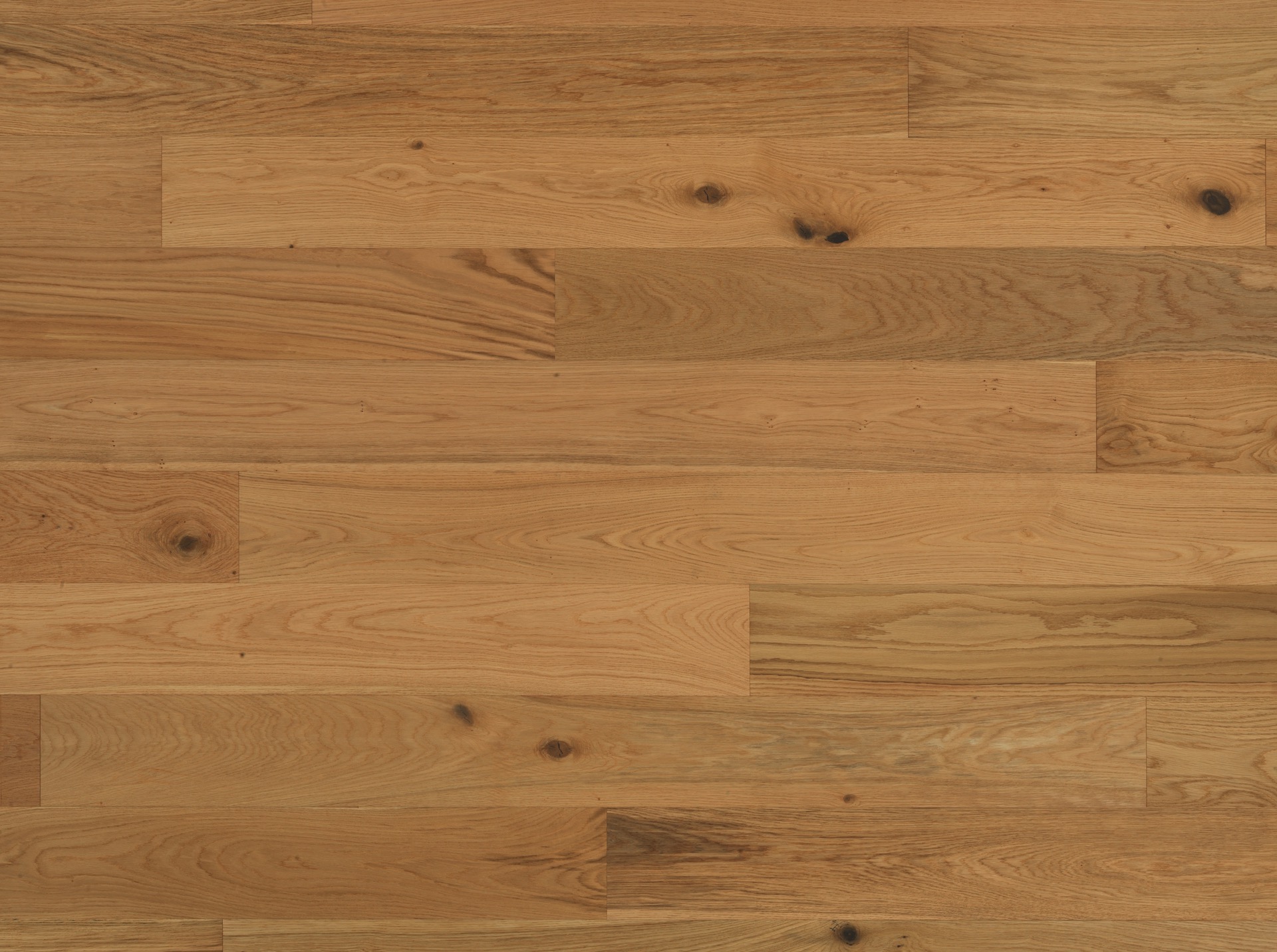MAXI 10 | Rovere Amon | Spazzolato | Vernice