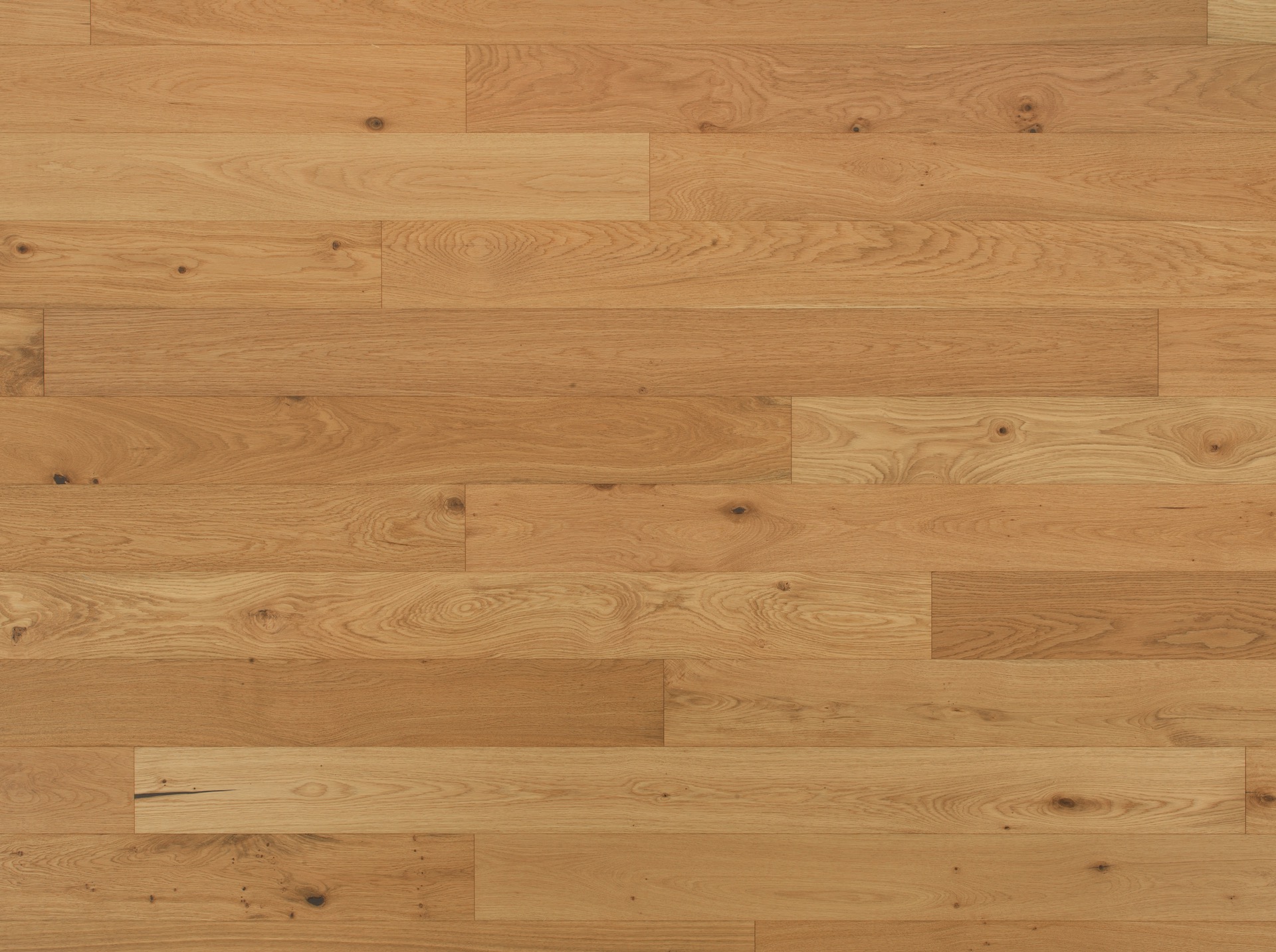 Rovere Iside | Spazzolato | Olio UV/Vernice