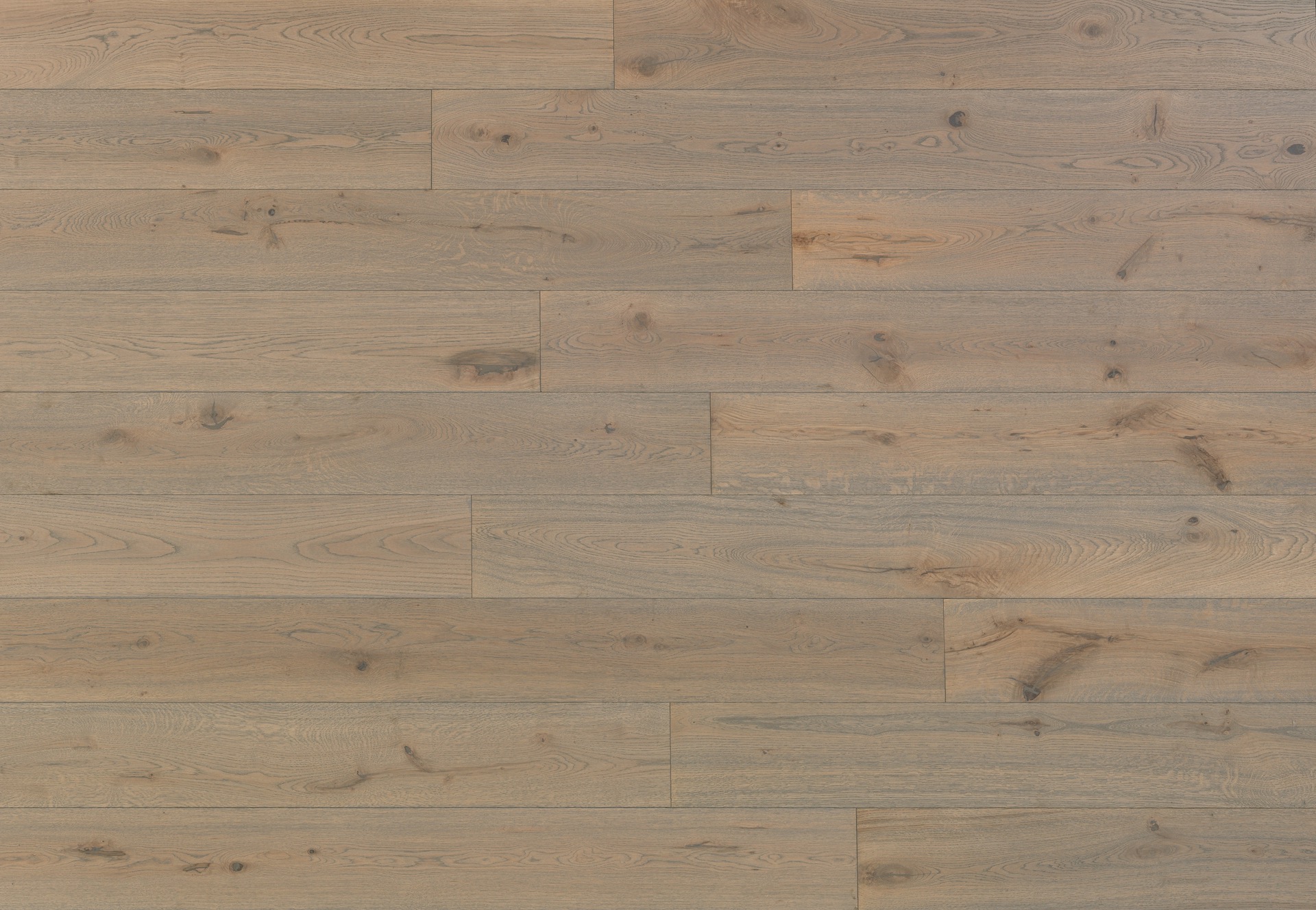 MAXI 15 | Rovere Nettuno | Spazzolato | Vernice