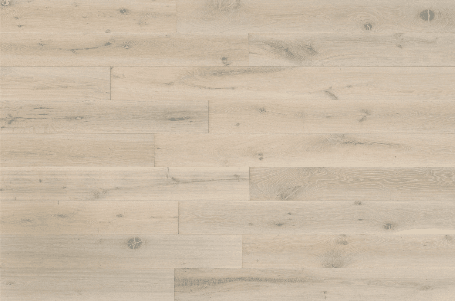 Rovere Idia | Spazzolato | Vernice