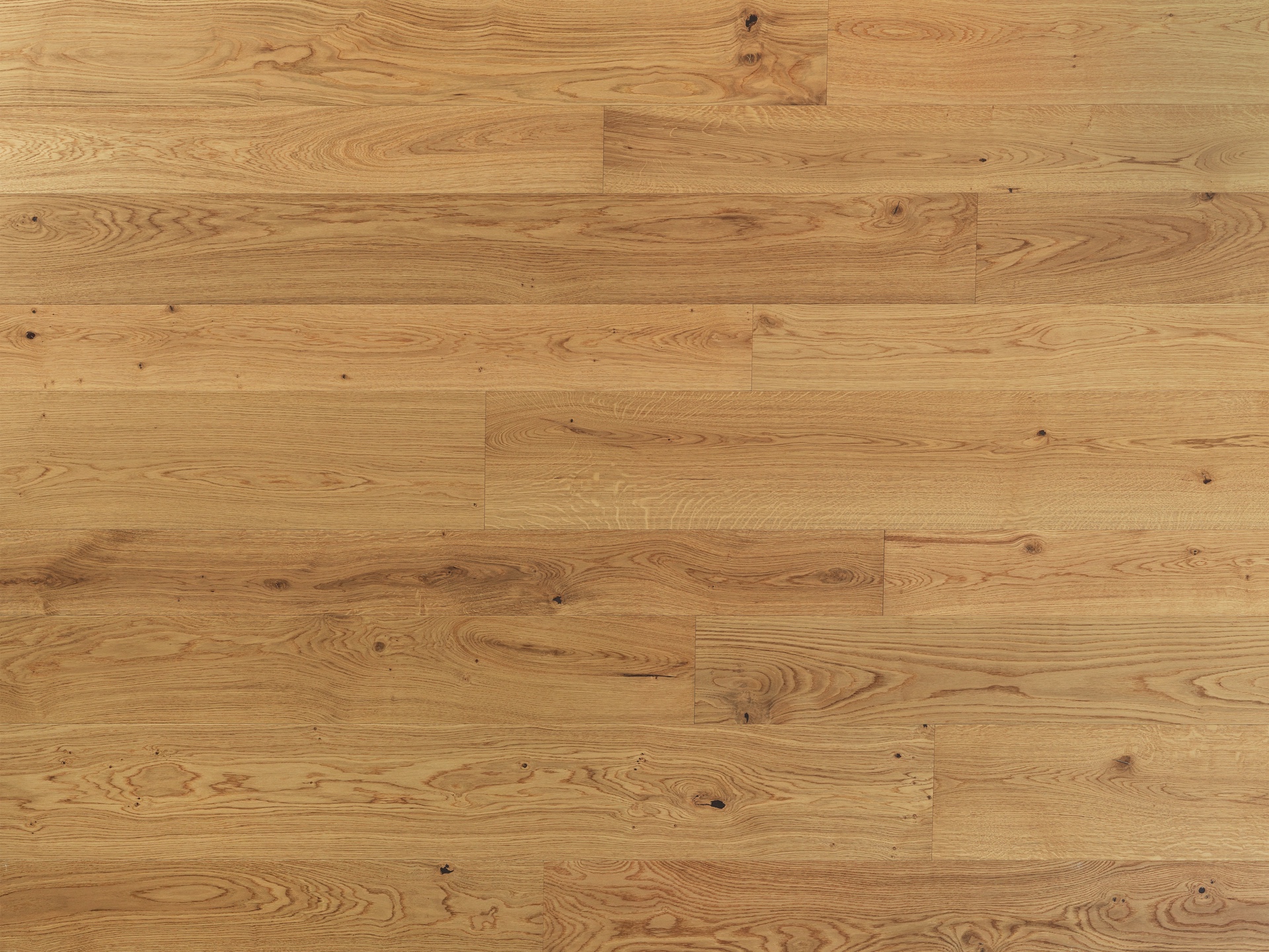 3 larghezze | Rovere Aton | Spazzolato | Vernice
