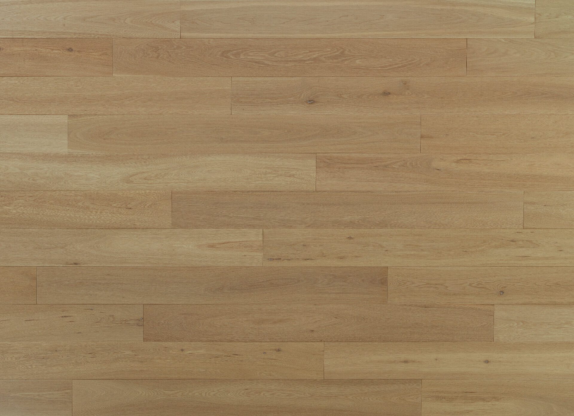 Rovere Etna | Spazzolato | Vernice