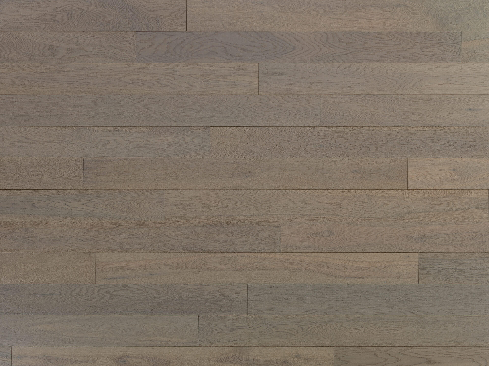 Rovere Alba | Spazzolato | Olio uv